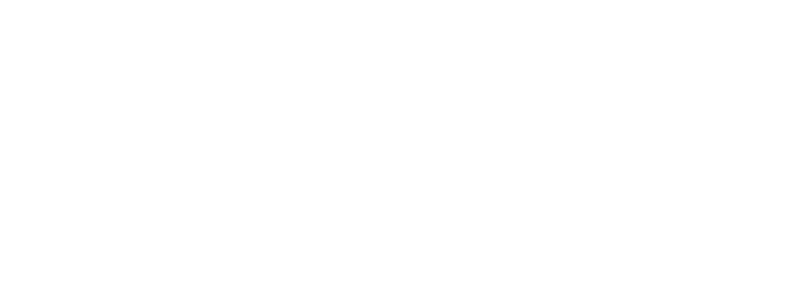 Kavesnet logo